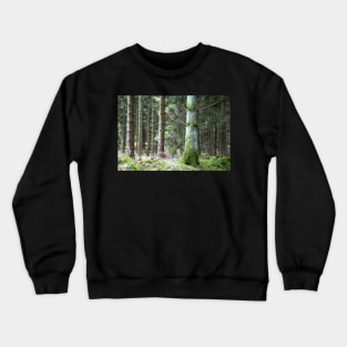 Green of the pine Crewneck Sweatshirt